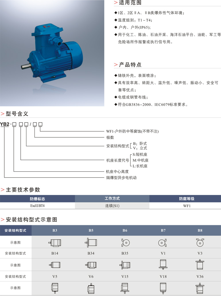 隔爆型三相异步电动机