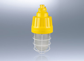 BAD61-DIP粉尘防爆灯