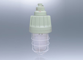 BAD61防爆灯(ⅡC)