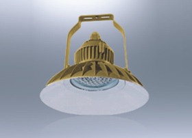 BLD77防爆免维护LED节能灯