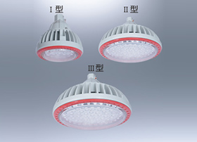 BLD88(BZD118)防爆免维护LED节能灯